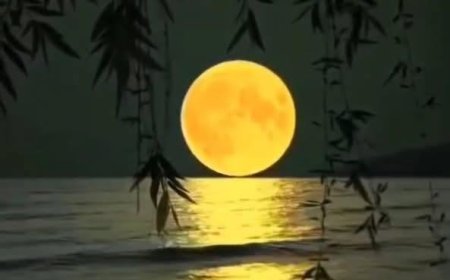 Lý Hoàng Anh Trả Lời Các Câu Hỏi Của Hành Giả Pháp Quang !!!