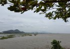 Không Tiêu Hóa Chánh Pháp Có Thuộc Tạp Thực !!!