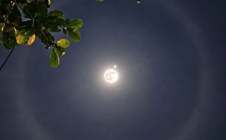Thiện Tài Đồng Tử Cầu Nhất Thiết Trí !!!